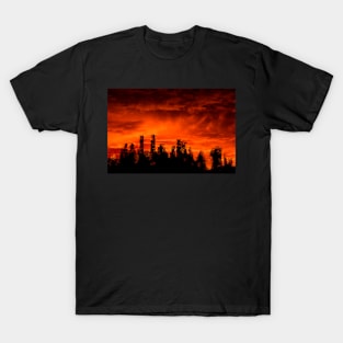 The end of days T-Shirt